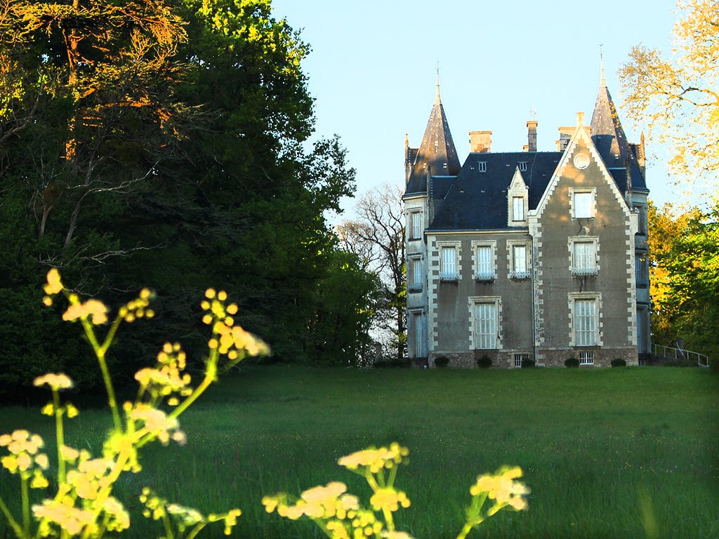 Pagaille au Château